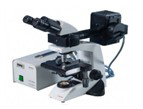 Microscope à nodule de fluorescence