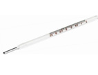 Oral thermometer