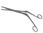Brain Tissue Forcep I