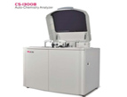 CS1300B