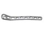 Proximal Femur Condylus