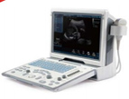 DP-50 High-end Portable