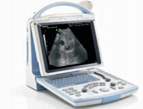 DP-10 entry level portable