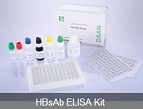 HBsAb ELISA Kit