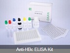 Anti-HBc ELISA Kit