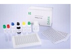 HBeAg ELISA Kit