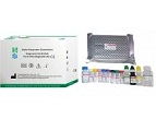 Alpha-fetoprotein Quantitative Diagnostic Kit