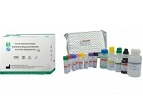 Carcinoembryonic Antigen Quantitative Kit