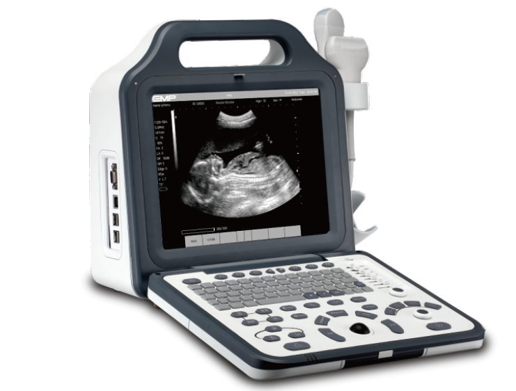 N5 Portable B/W