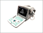 RH80 B/W Portable